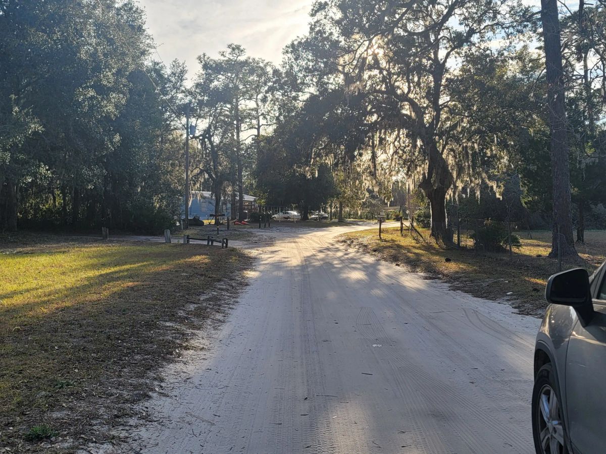 Decorative background for Agricultural Quarter-Acre in Crescent City, FL image 9