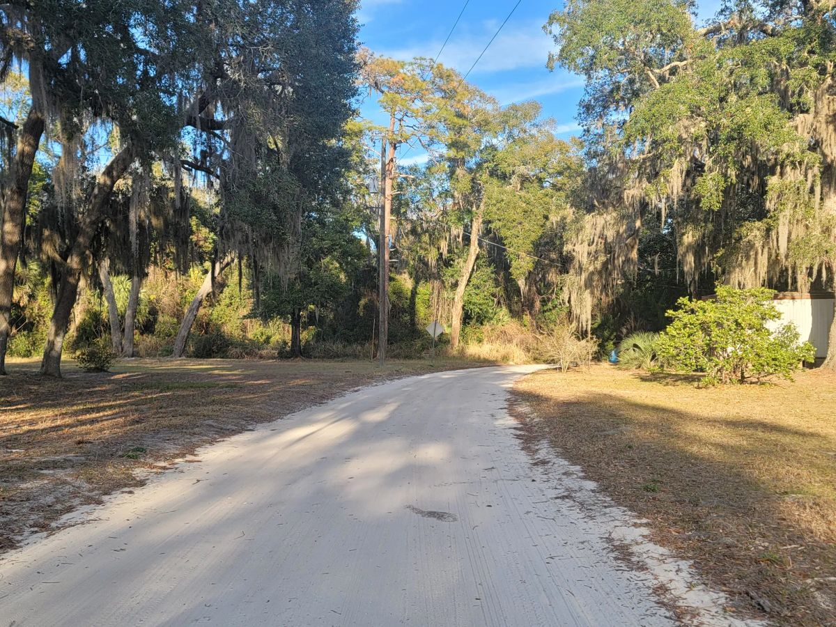 Decorative background for Agricultural Quarter-Acre in Crescent City, FL image 10