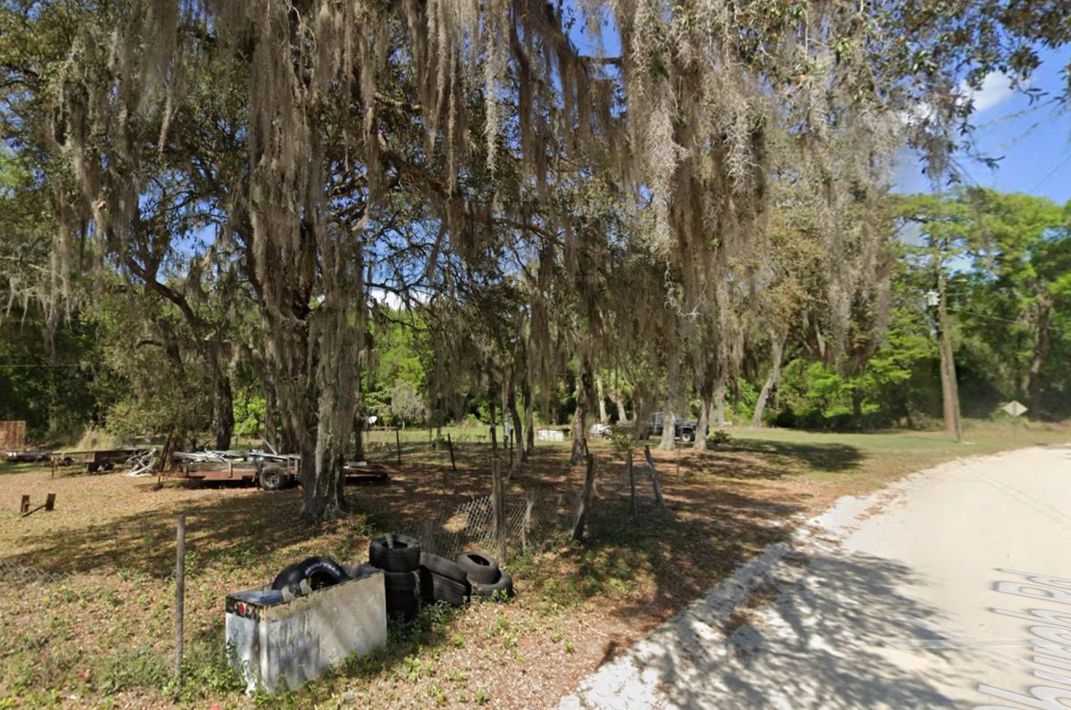 Decorative background for Agricultural Quarter-Acre in Crescent City, FL image 11