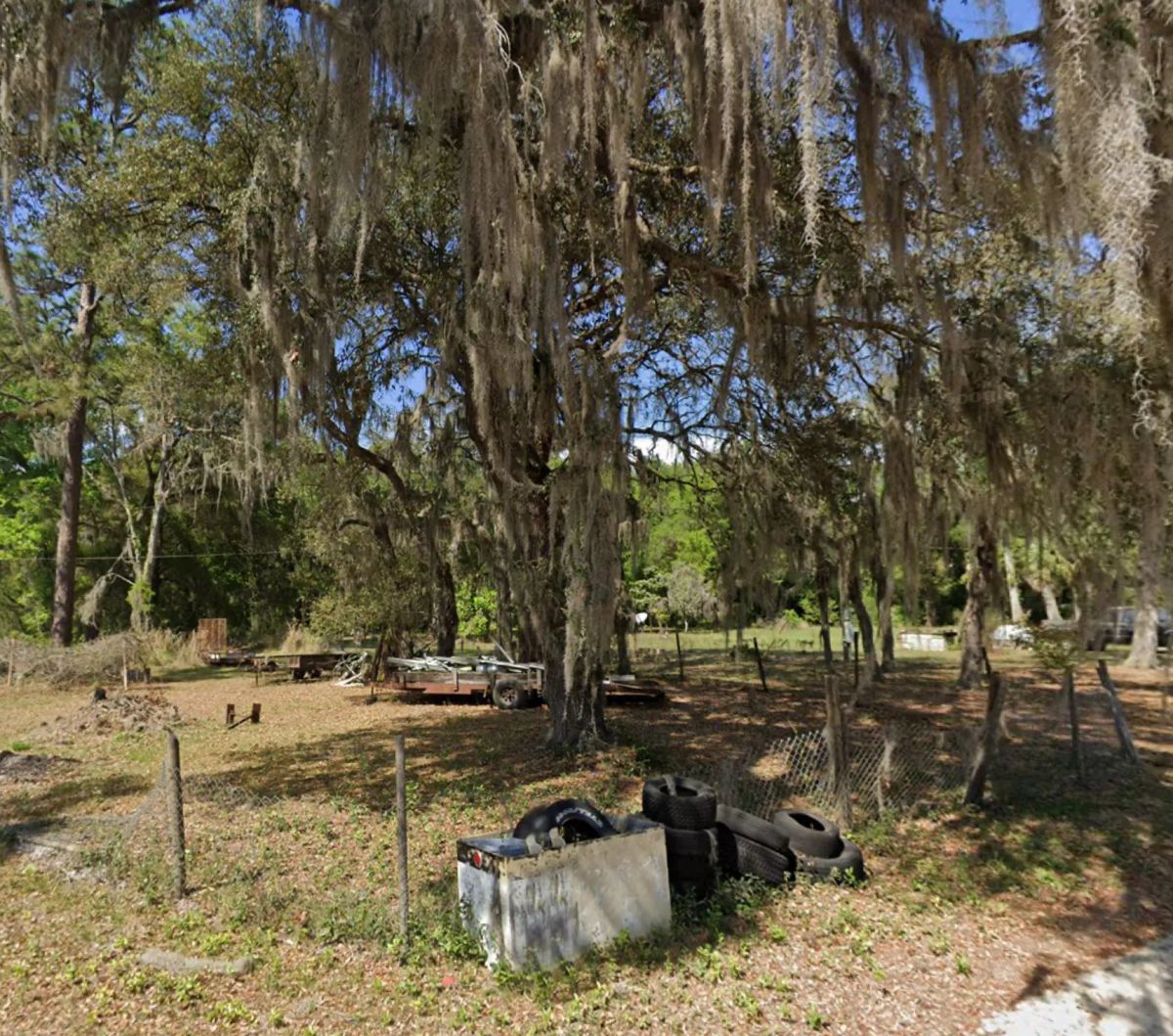 Decorative background for Agricultural Quarter-Acre in Crescent City, FL image 12