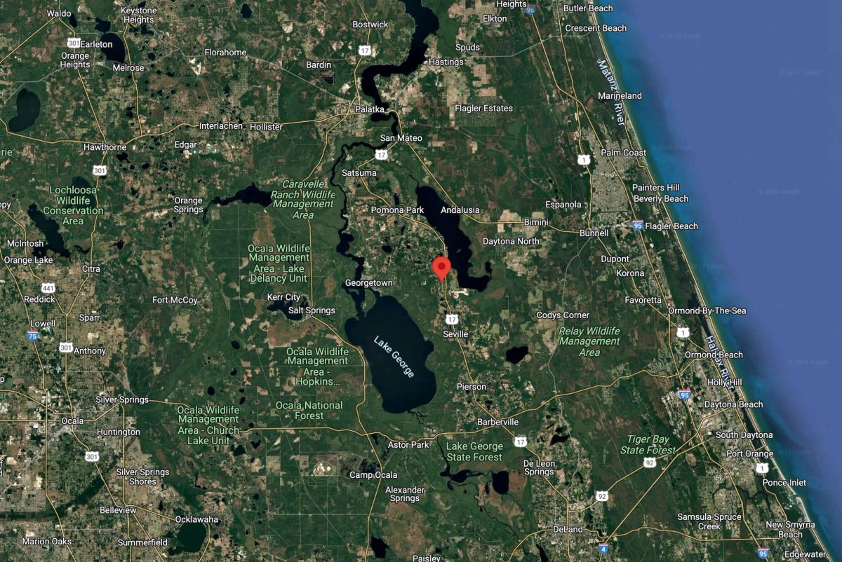 Decorative background for Agricultural Quarter-Acre in Crescent City, FL image 13