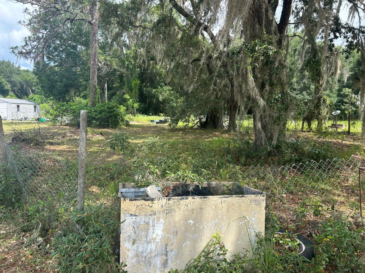 Decorative background for Agricultural Quarter-Acre in Crescent City, FL image 16