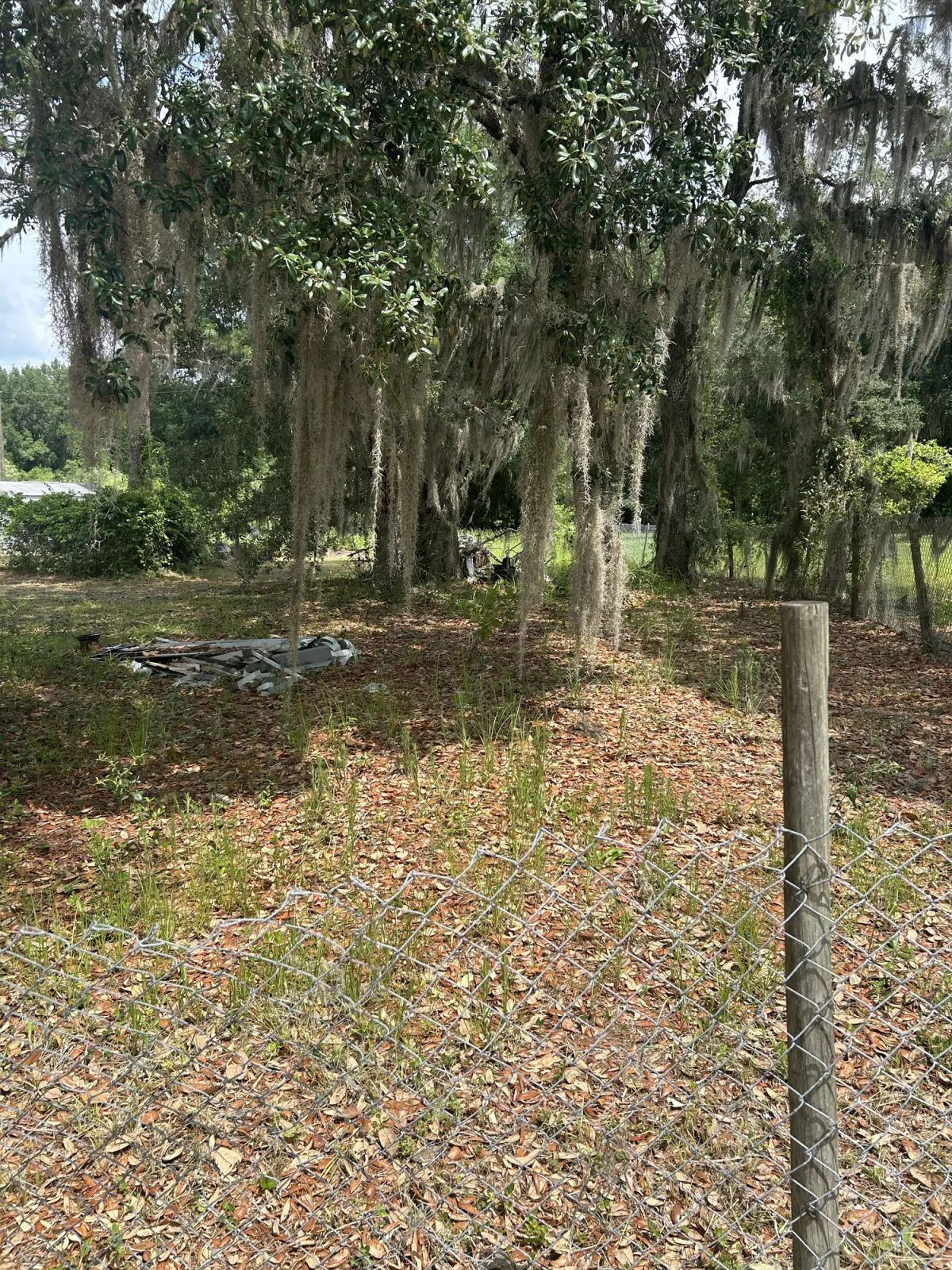Decorative background for Agricultural Quarter-Acre in Crescent City, FL image 17