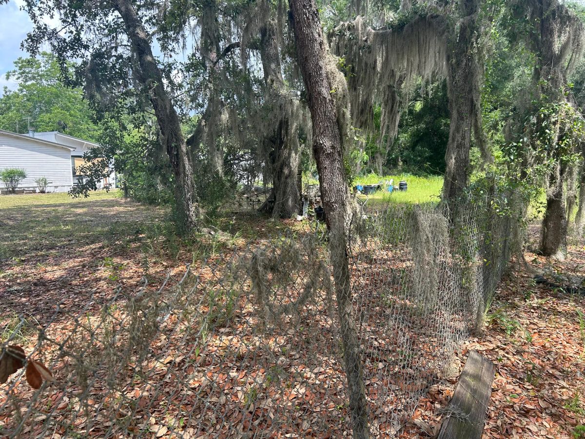 Decorative background for Agricultural Quarter-Acre in Crescent City, FL image 18