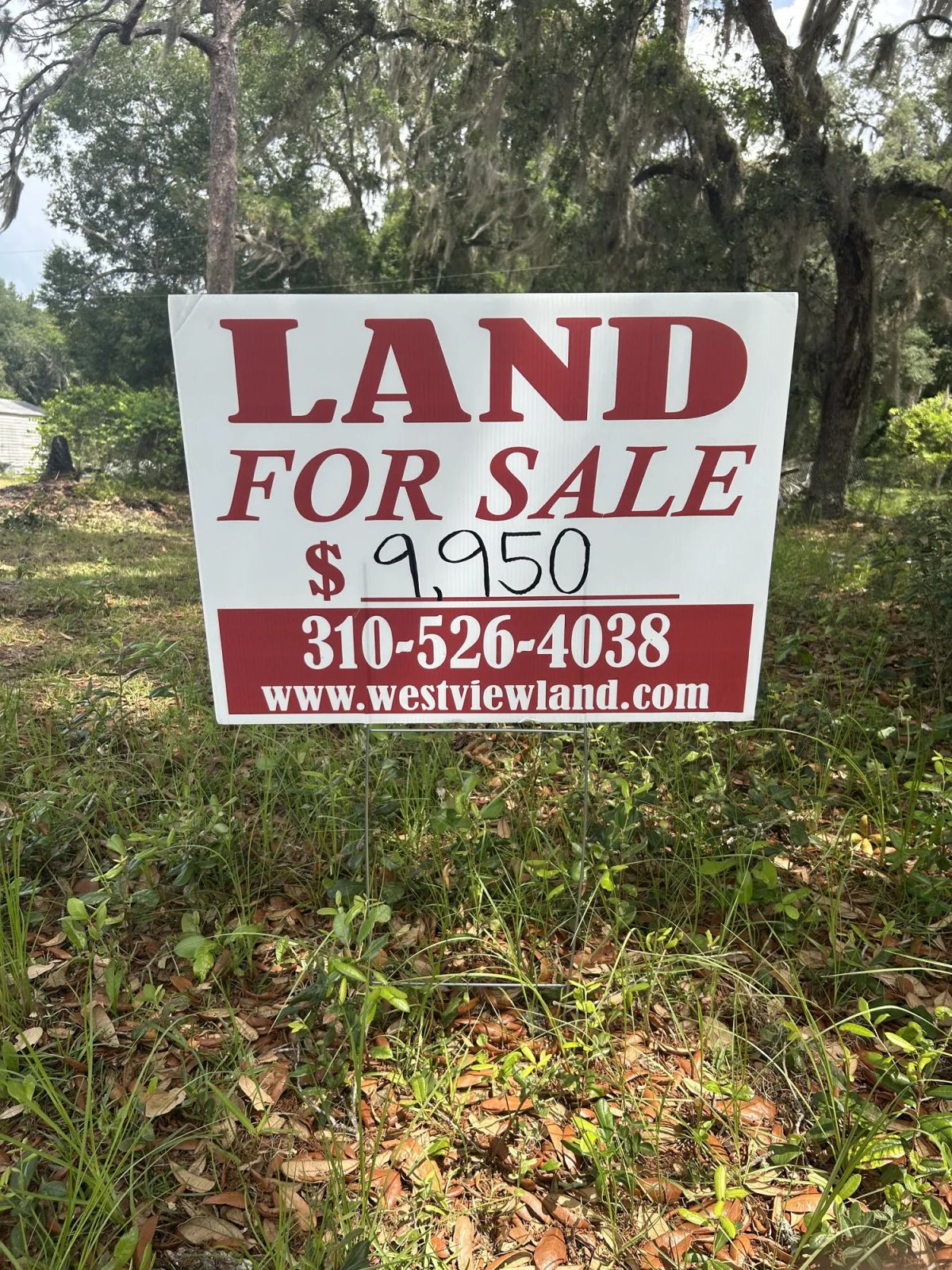 Decorative background for Agricultural Quarter-Acre in Crescent City, FL image 19