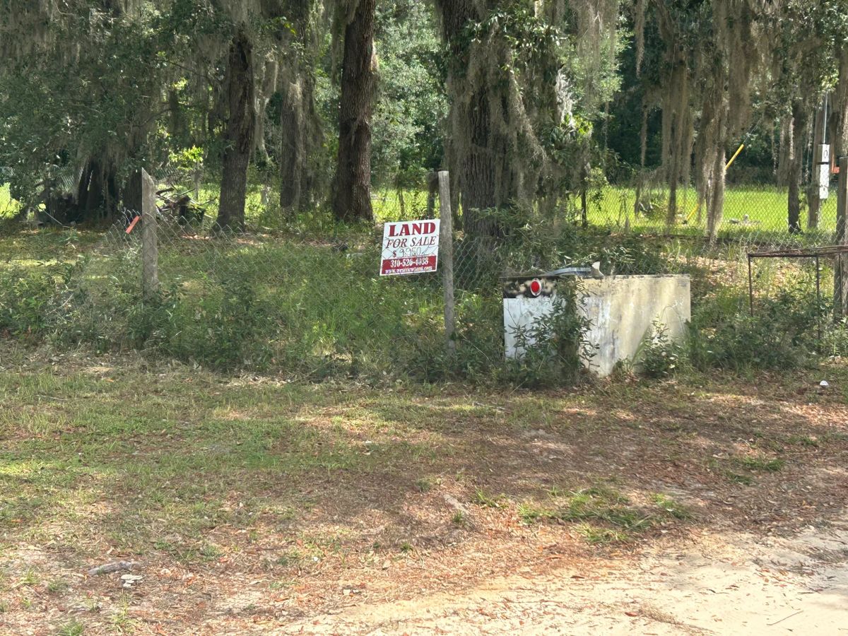 Decorative background for Agricultural Quarter-Acre in Crescent City, FL image 20