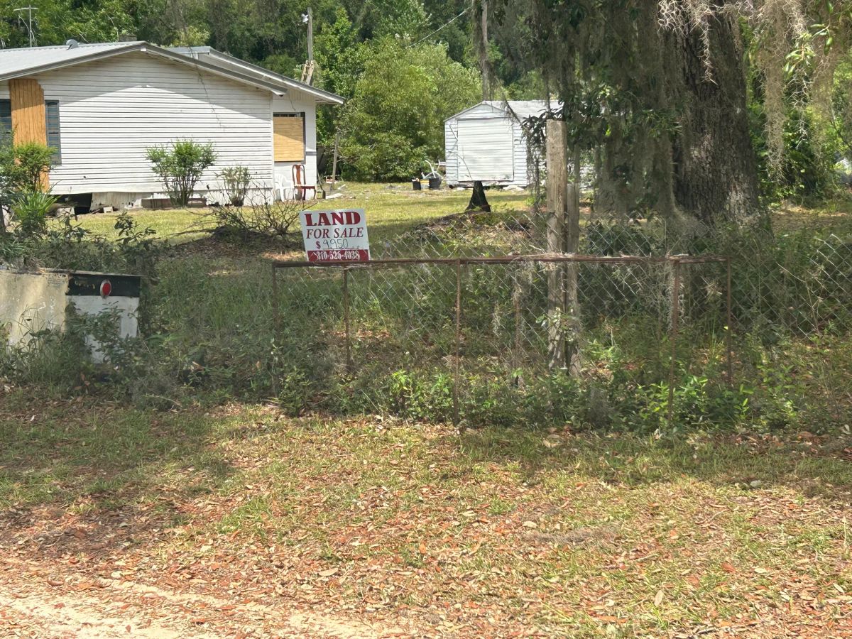 Decorative background for Agricultural Quarter-Acre in Crescent City, FL image 21