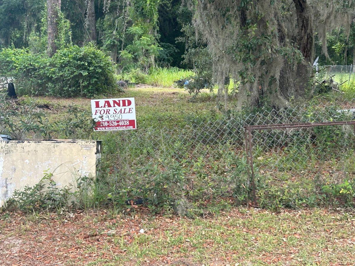 Decorative background for Agricultural Quarter-Acre in Crescent City, FL image 22