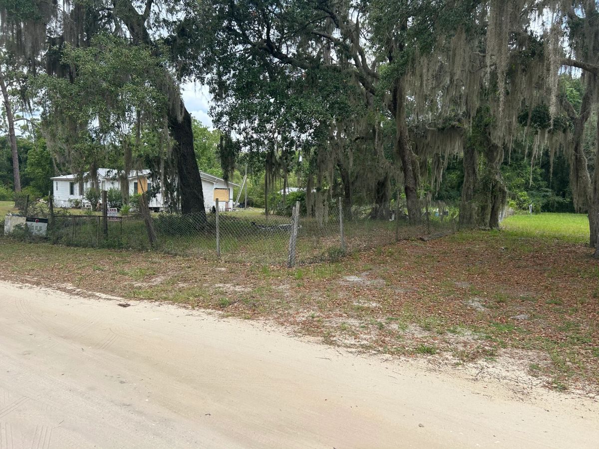 Decorative background for Agricultural Quarter-Acre in Crescent City, FL image 23
