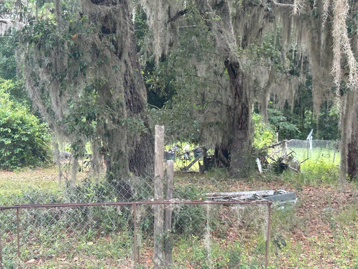 Decorative background for Agricultural Quarter-Acre in Crescent City, FL image 24