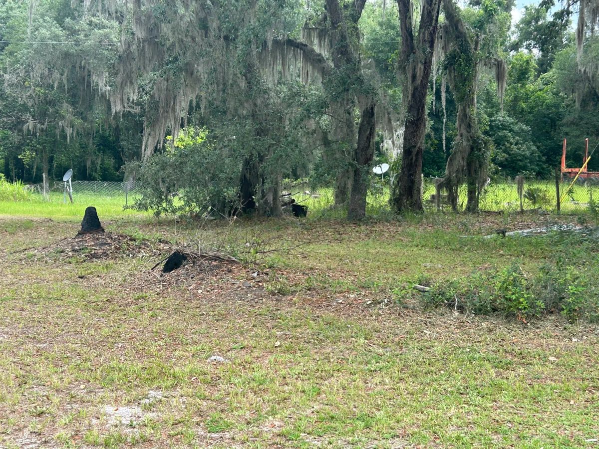 Decorative background for Agricultural Quarter-Acre in Crescent City, FL image 25