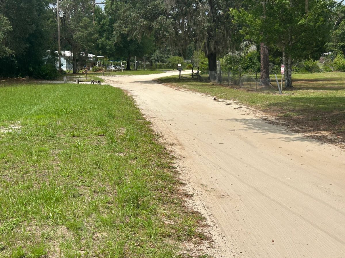 Decorative background for Agricultural Quarter-Acre in Crescent City, FL image 27