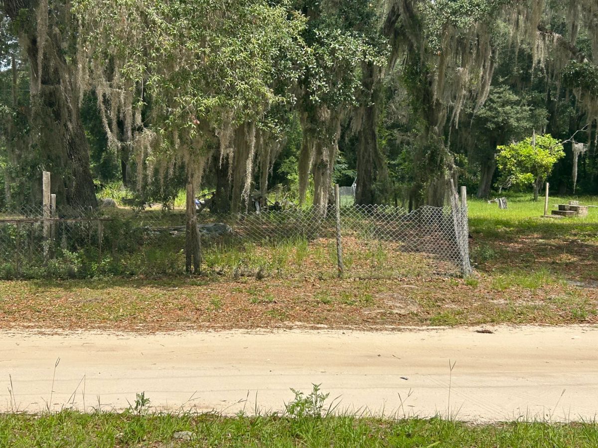 Decorative background for Agricultural Quarter-Acre in Crescent City, FL image 28