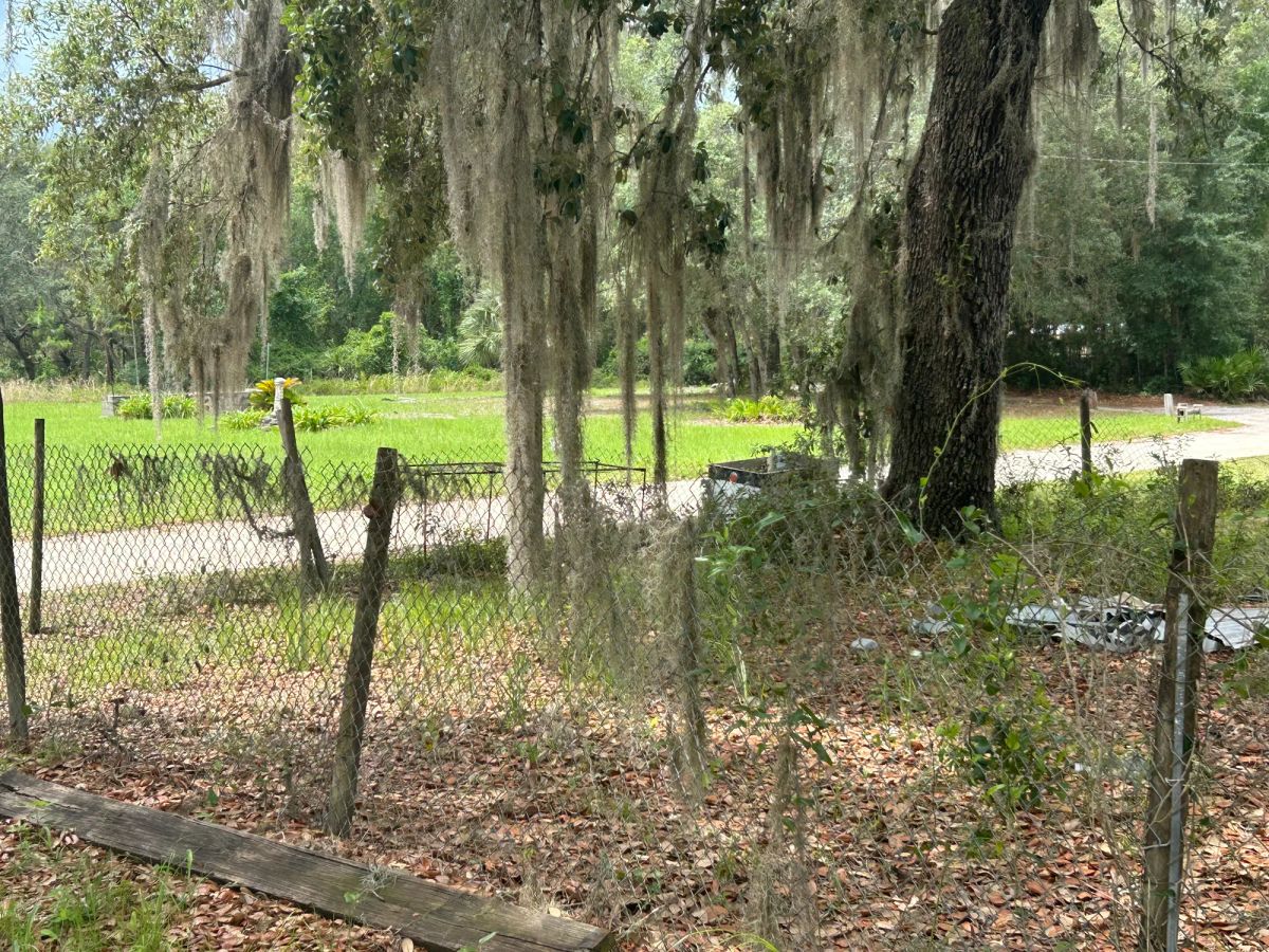 Decorative background for Agricultural Quarter-Acre in Crescent City, FL image 29
