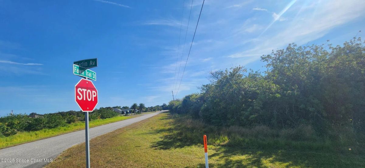 Decorative background for 2+ Acre Corner Lot in Palm Bay, FL image 6