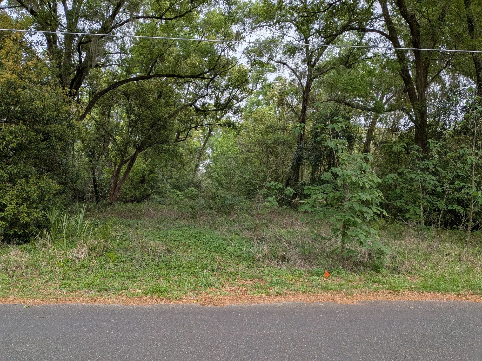 Vacant, Level, Wooded Residential Lot in Ocala, FL