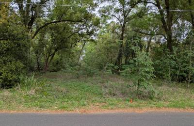 Vacant, Level, Wooded Residential Lot in Ocala, FL