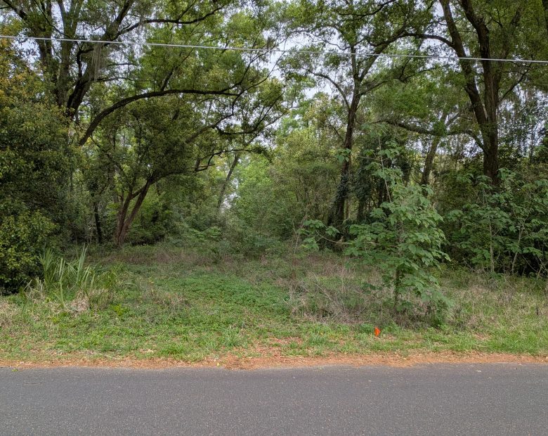 Vacant, Level, Wooded Residential Lot in Ocala, FL in Marion County, FL