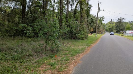 Vacant, Level, Wooded Residential Lot in Ocala, FL in Marion County, FL