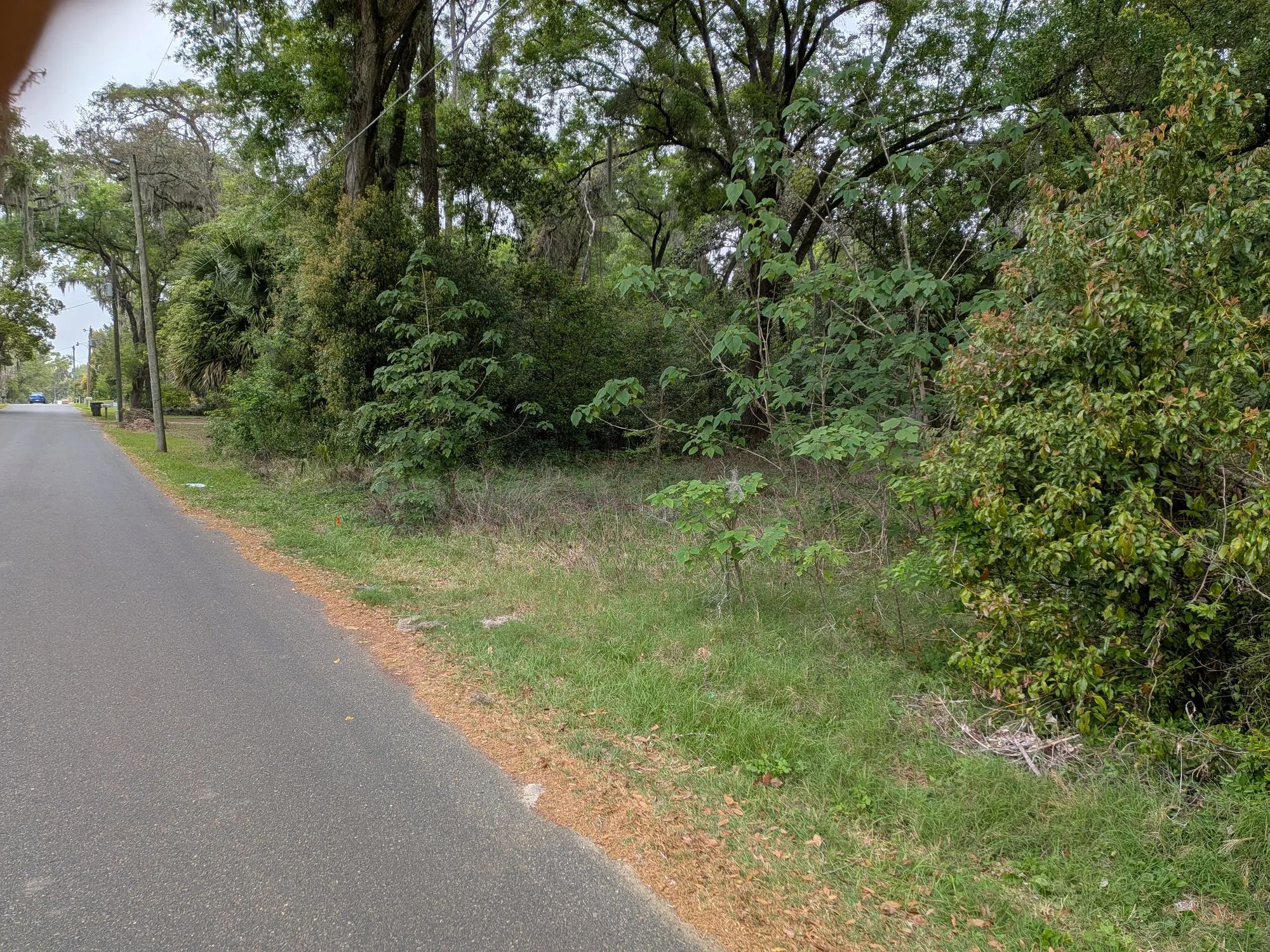 Vacant, Level, Wooded Residential Lot in Ocala, FL in Marion County, FL