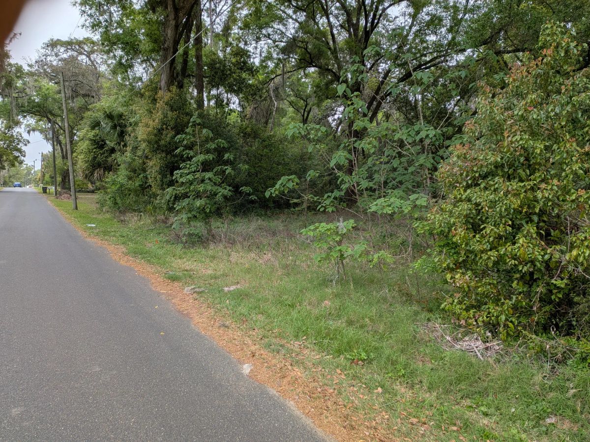 Vacant, Level, Wooded Residential Lot in Ocala, FL - Image 3