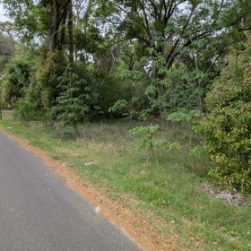 Vacant, Level, Wooded Residential Lot in Ocala, FL in Marion County, FL