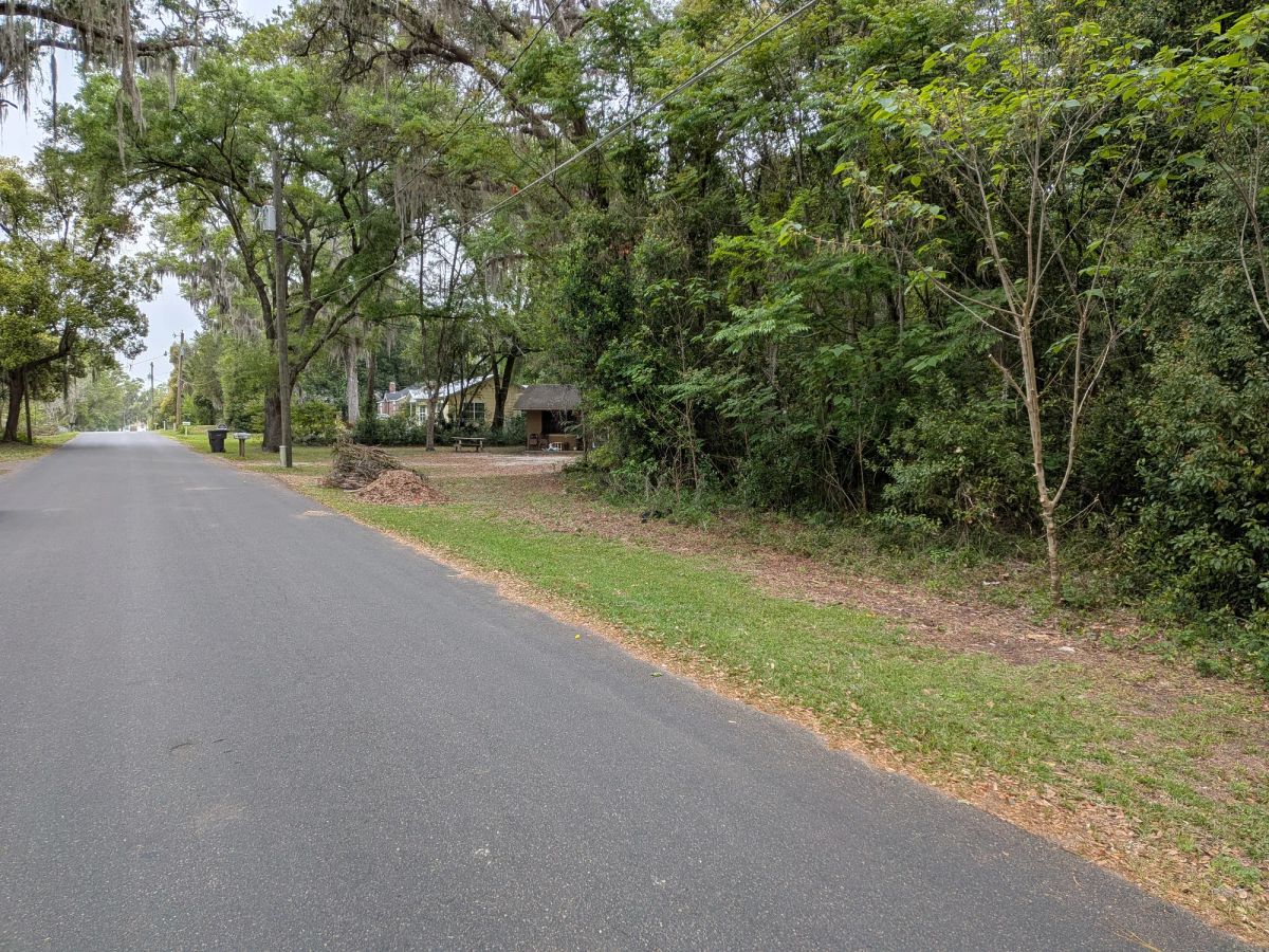 Vacant, Level, Wooded Residential Lot in Ocala, FL - Image 4
