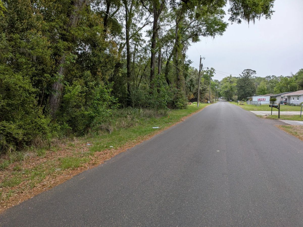 Decorative background for Vacant, Level, Wooded Residential Lot in Ocala, FL image 5