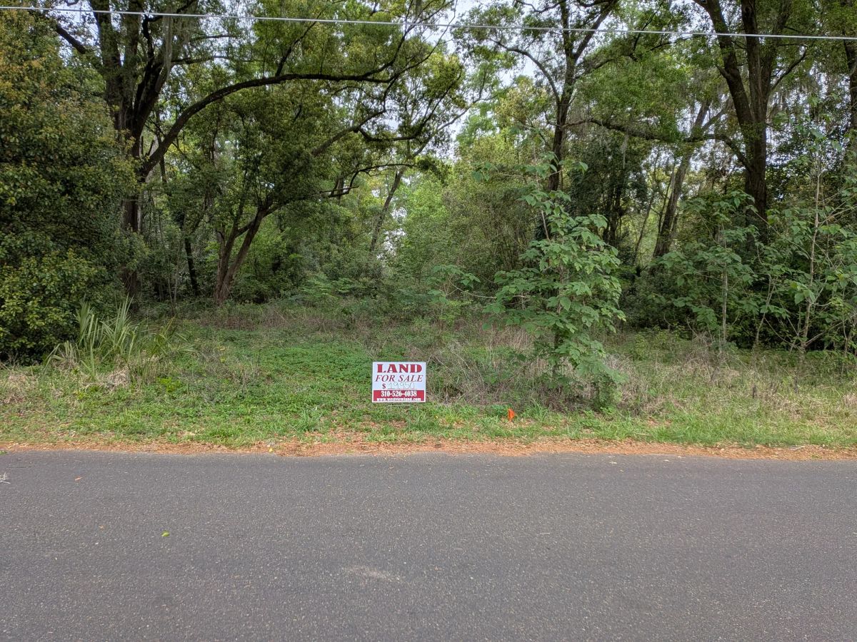 Decorative background for Vacant, Level, Wooded Residential Lot in Ocala, FL image 8