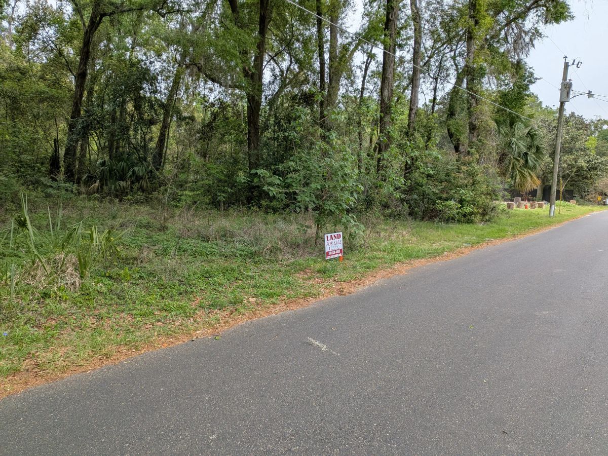 Decorative background for Vacant, Level, Wooded Residential Lot in Ocala, FL image 9