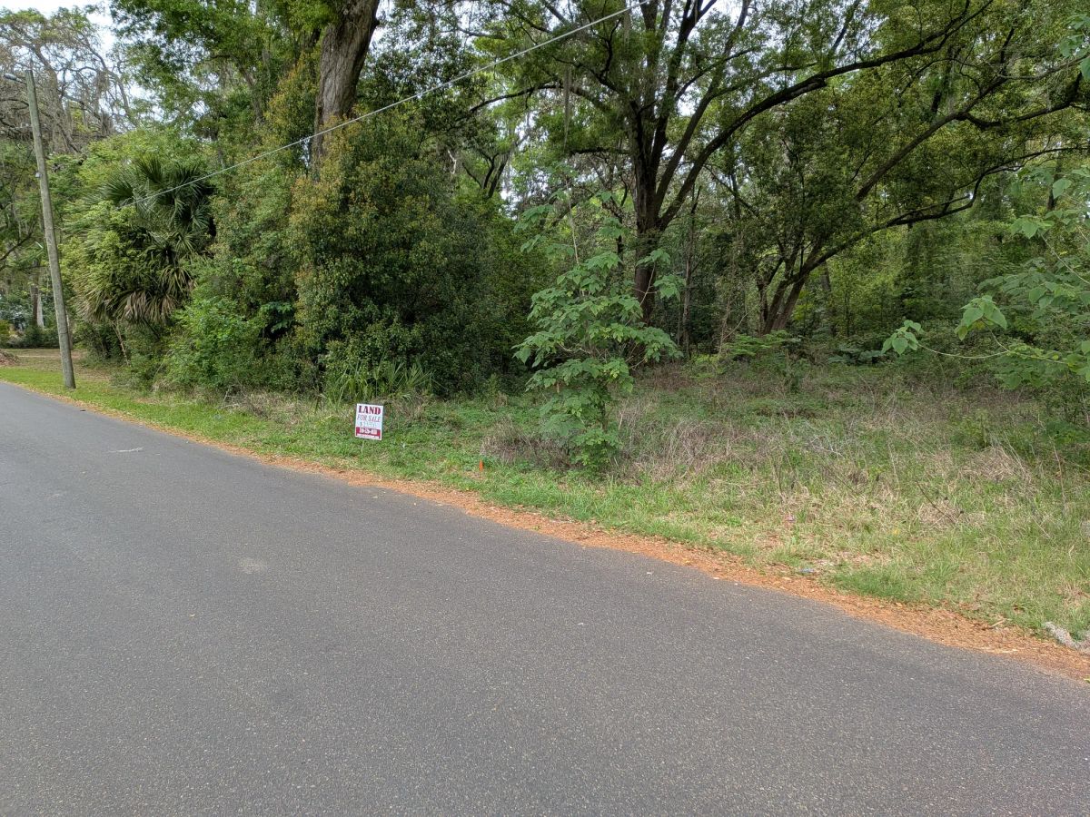 Decorative background for Vacant, Level, Wooded Residential Lot in Ocala, FL image 10