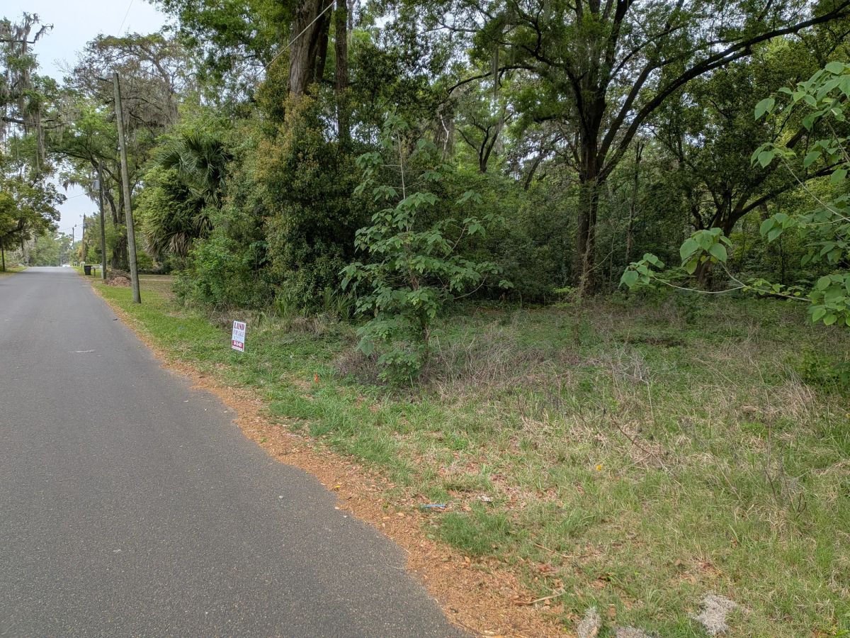 Decorative background for Vacant, Level, Wooded Residential Lot in Ocala, FL image 11