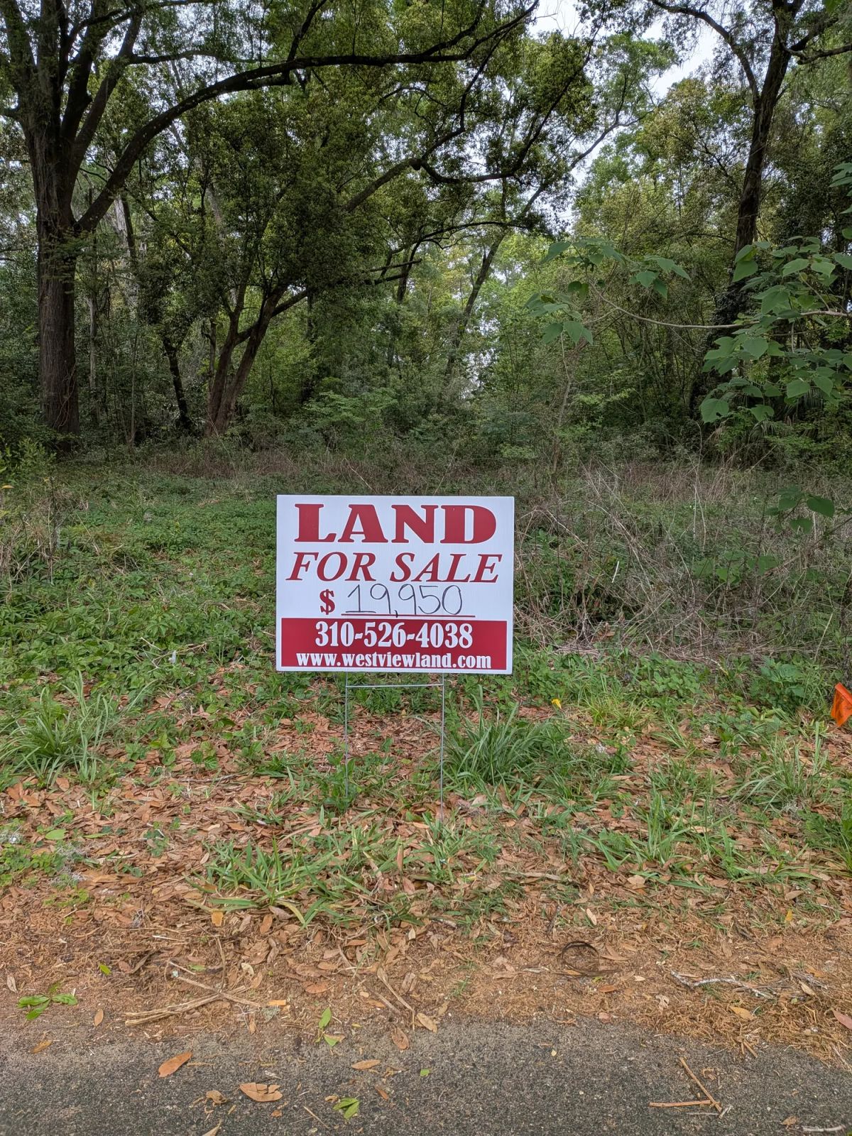 Decorative background for Vacant, Level, Wooded Residential Lot in Ocala, FL image 12