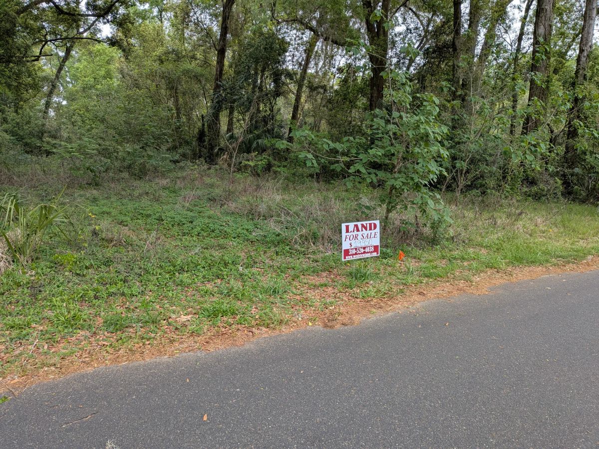 Decorative background for Vacant, Level, Wooded Residential Lot in Ocala, FL image 13
