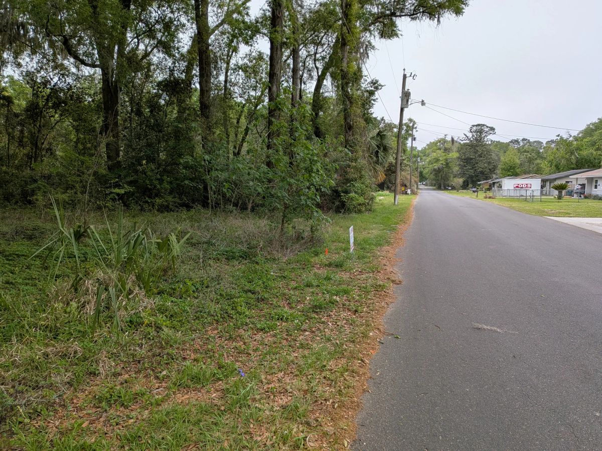 Decorative background for Vacant, Level, Wooded Residential Lot in Ocala, FL image 14