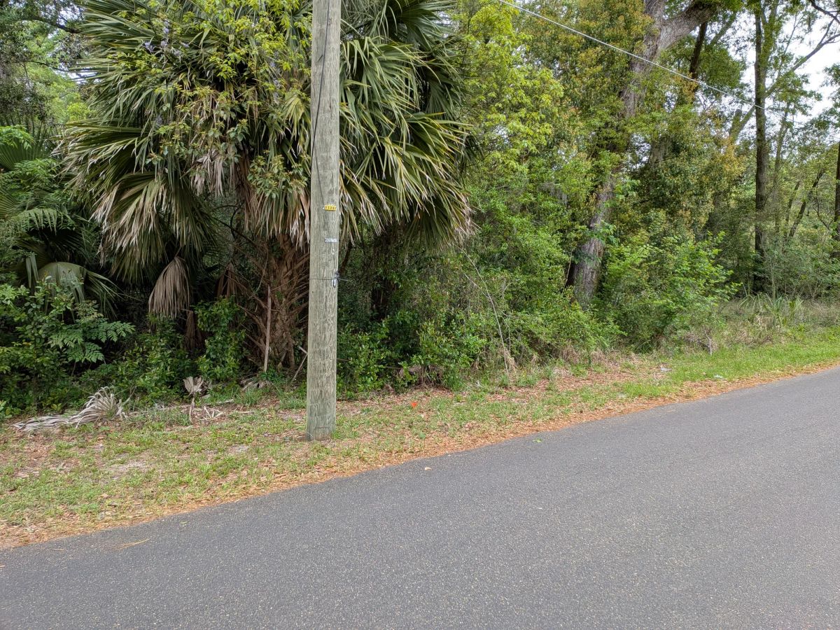 Decorative background for Vacant, Level, Wooded Residential Lot in Ocala, FL image 15