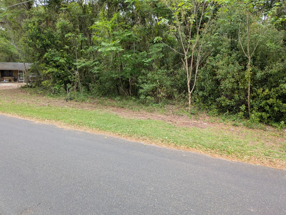 Decorative background for Vacant, Level, Wooded Residential Lot in Ocala, FL image 16