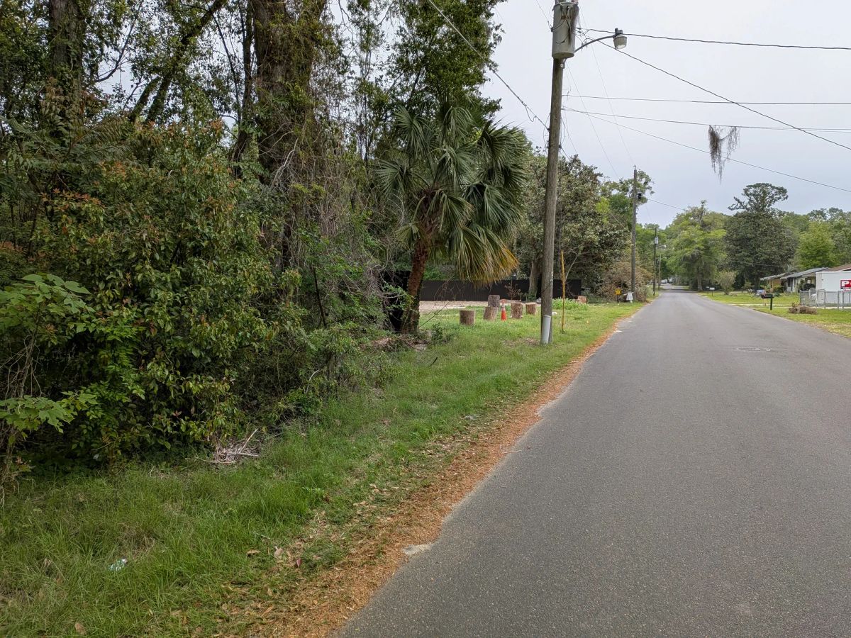 Decorative background for Vacant, Level, Wooded Residential Lot in Ocala, FL image 17