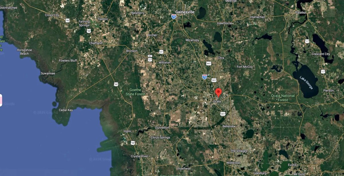 Decorative background for Vacant, Level, Wooded Residential Lot in Ocala, FL image 19
