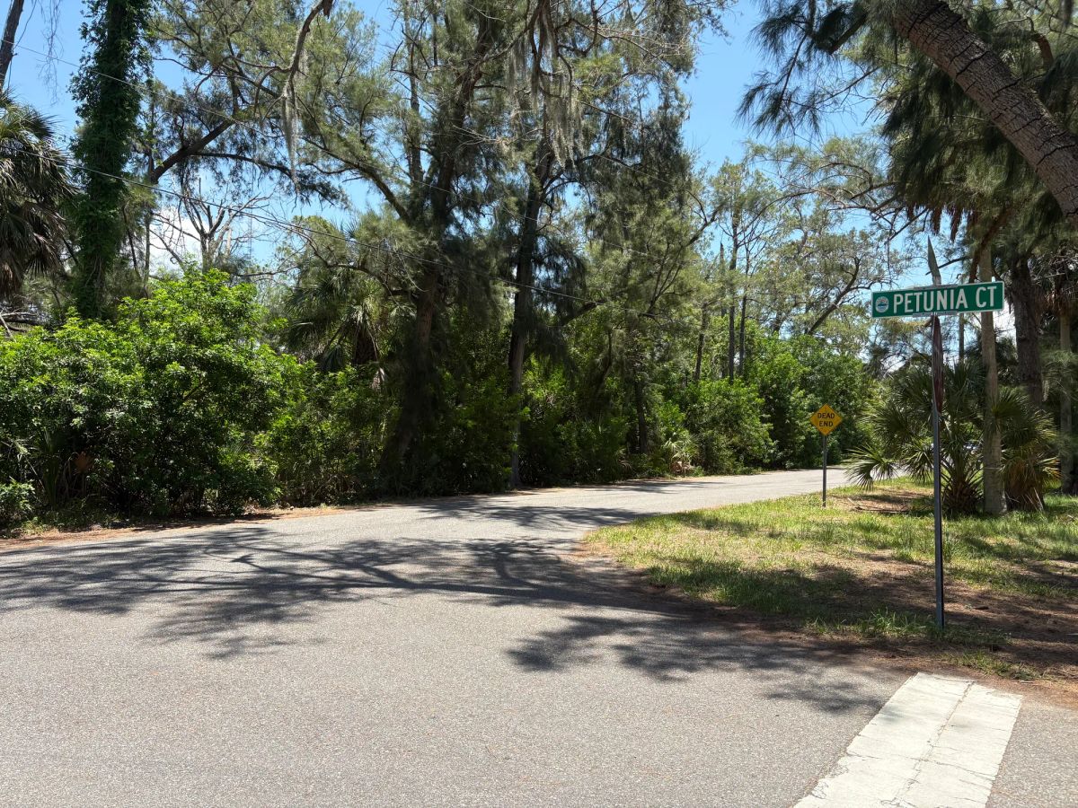 Multi Family Vacant Corner Lot for Sale in City of New Port Richey, FL - Main image