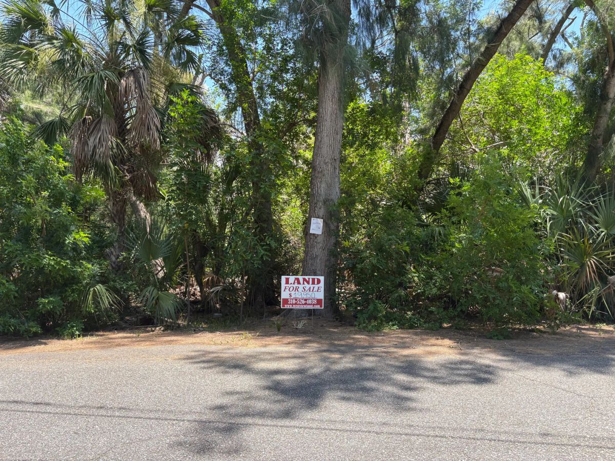 Decorative background for Multi Family Vacant Corner Lot for Sale in City of New Port Richey, FL image 5