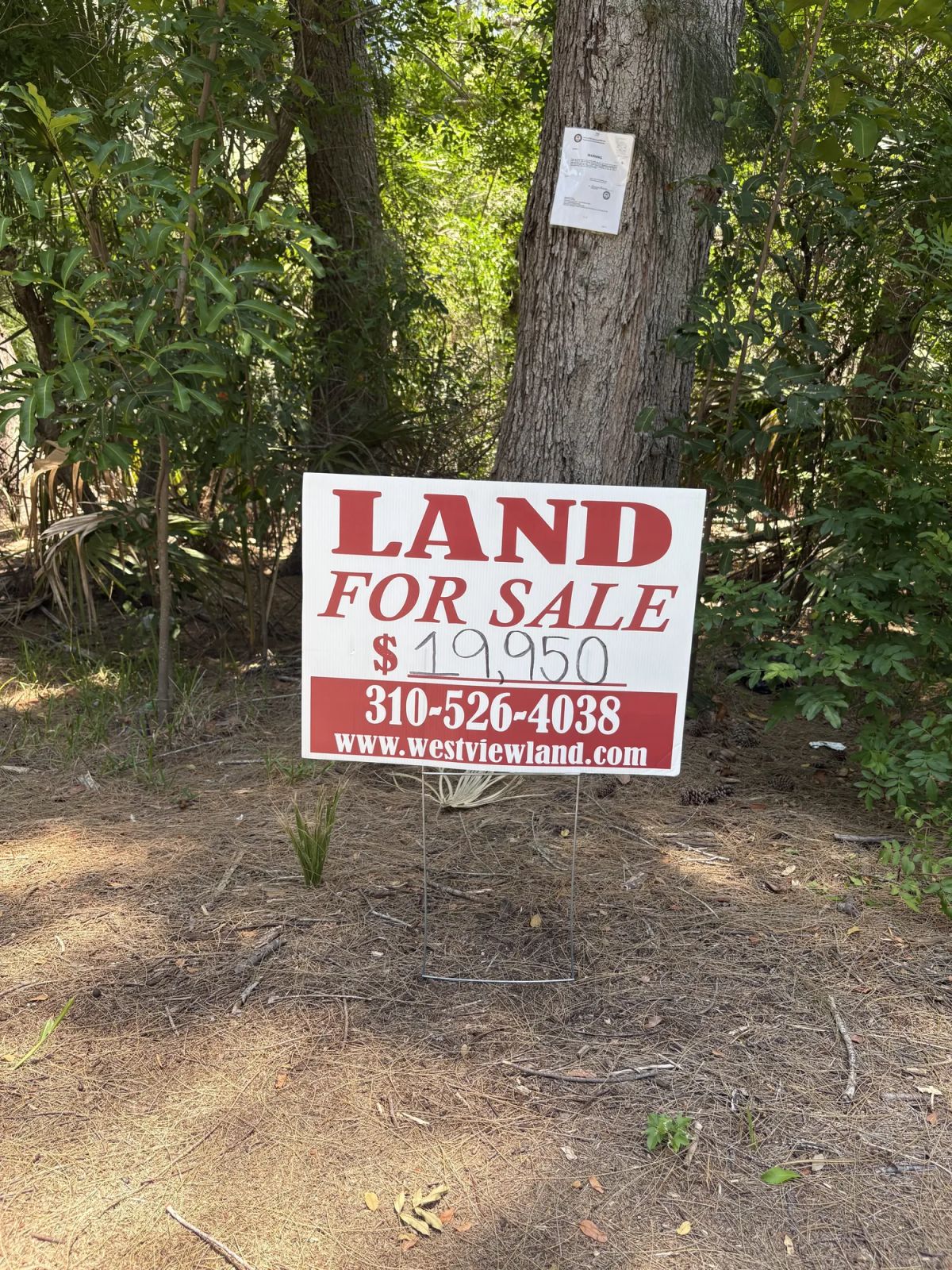 Decorative background for Multi Family Vacant Corner Lot for Sale in City of New Port Richey, FL image 6