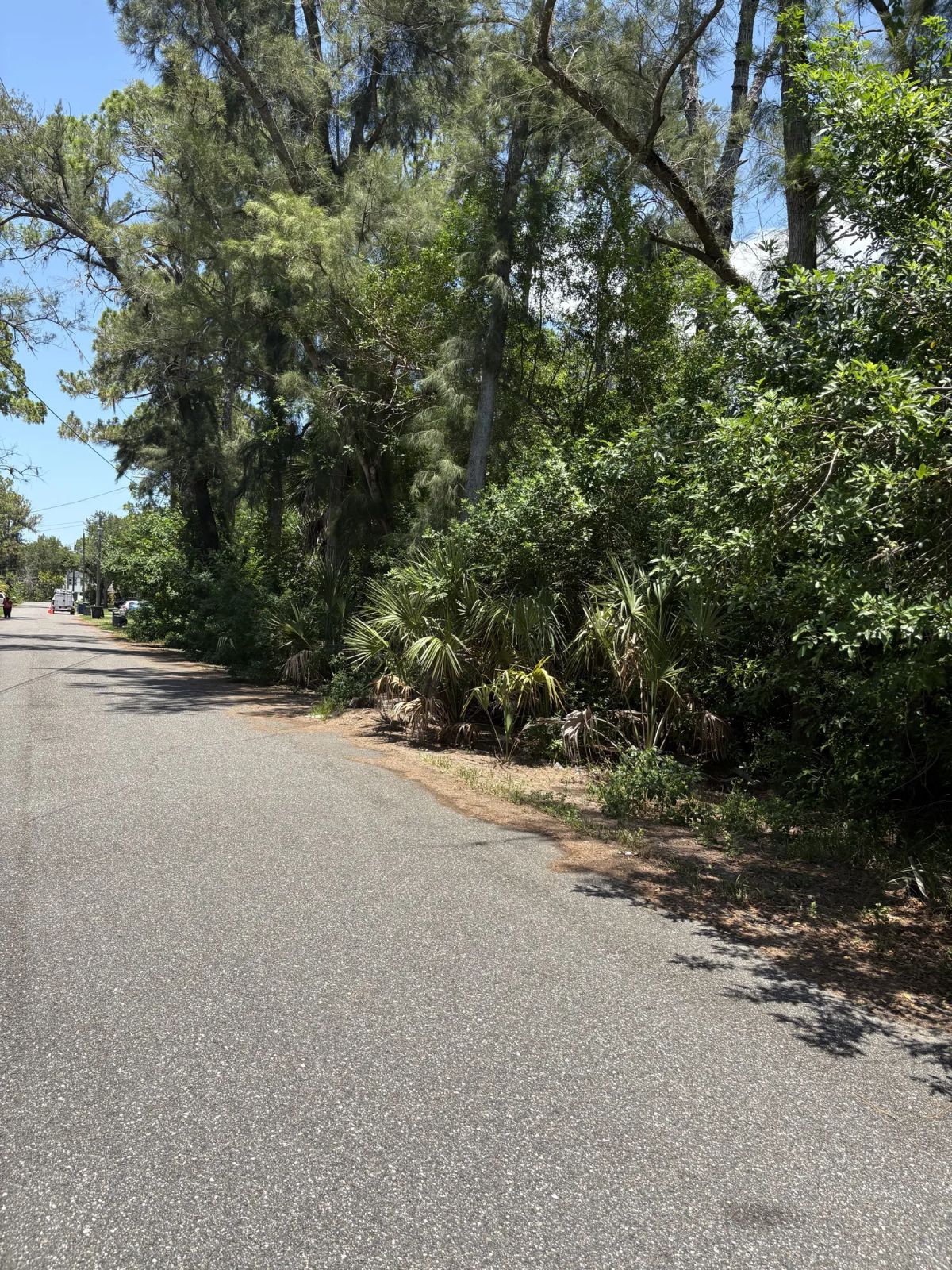 Decorative background for Multi Family Vacant Corner Lot for Sale in City of New Port Richey, FL image 7