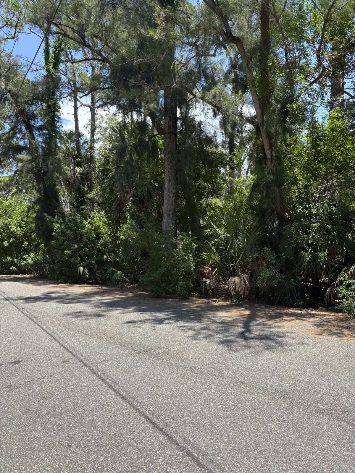 Decorative background for Multi Family Vacant Corner Lot for Sale in City of New Port Richey, FL image 8