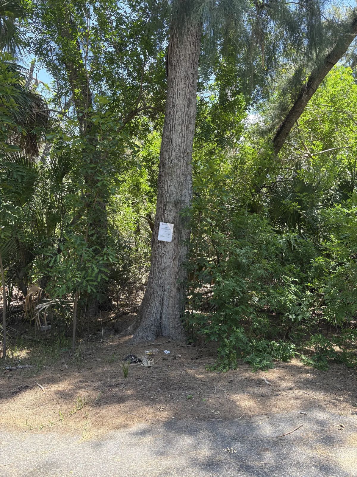 Decorative background for Multi Family Vacant Corner Lot for Sale in City of New Port Richey, FL image 9