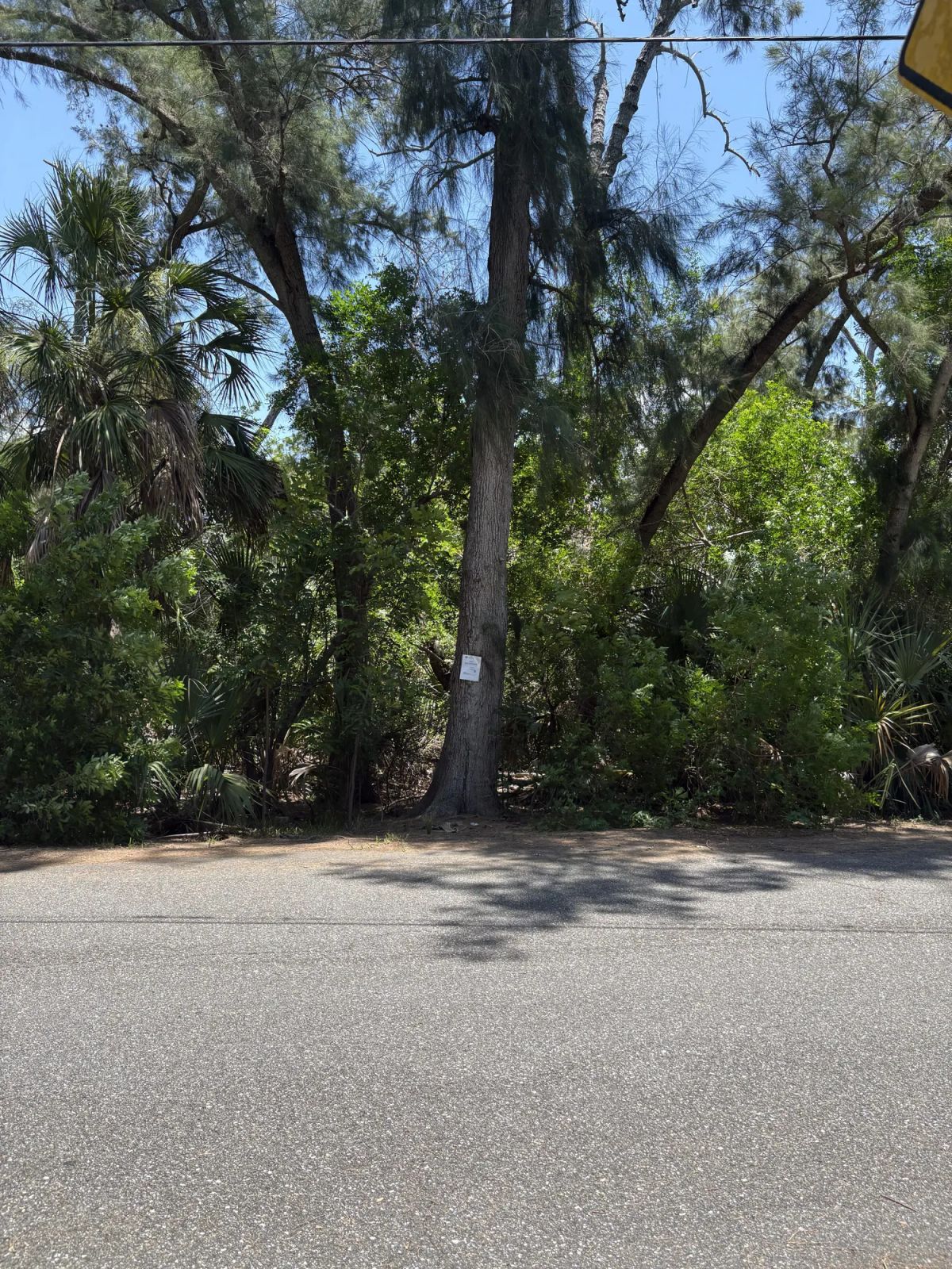 Decorative background for Multi Family Vacant Corner Lot for Sale in City of New Port Richey, FL image 10