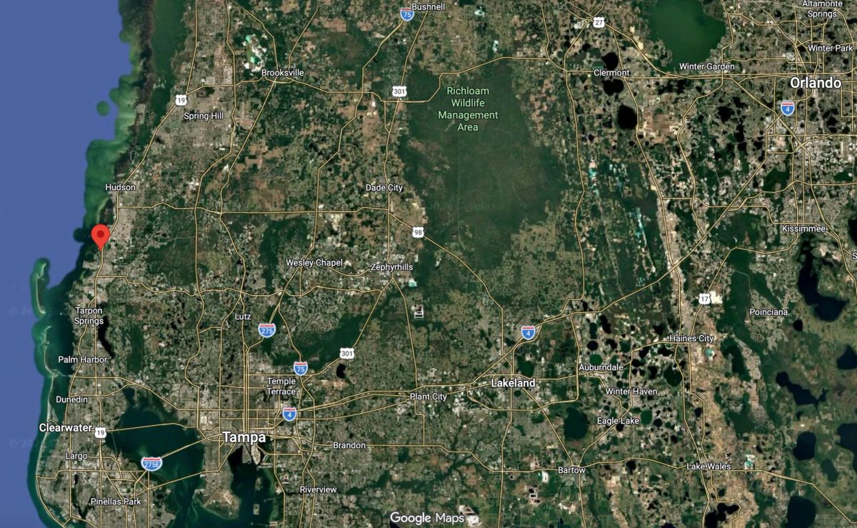 Decorative background for Multi Family Vacant Corner Lot for Sale in City of New Port Richey, FL image 11