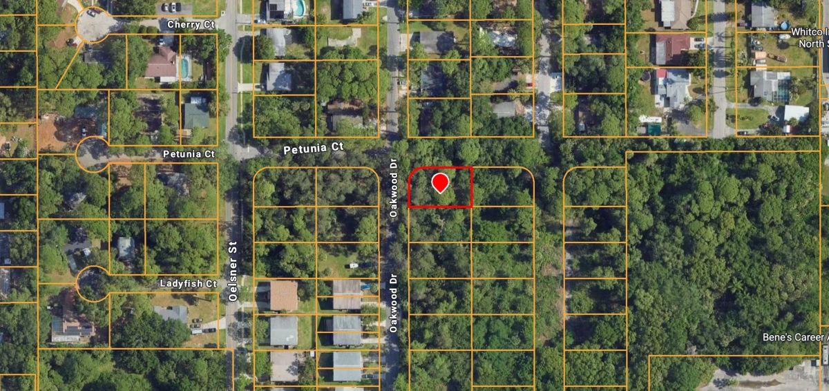 Decorative background for Multi Family Vacant Corner Lot for Sale in City of New Port Richey, FL image 12