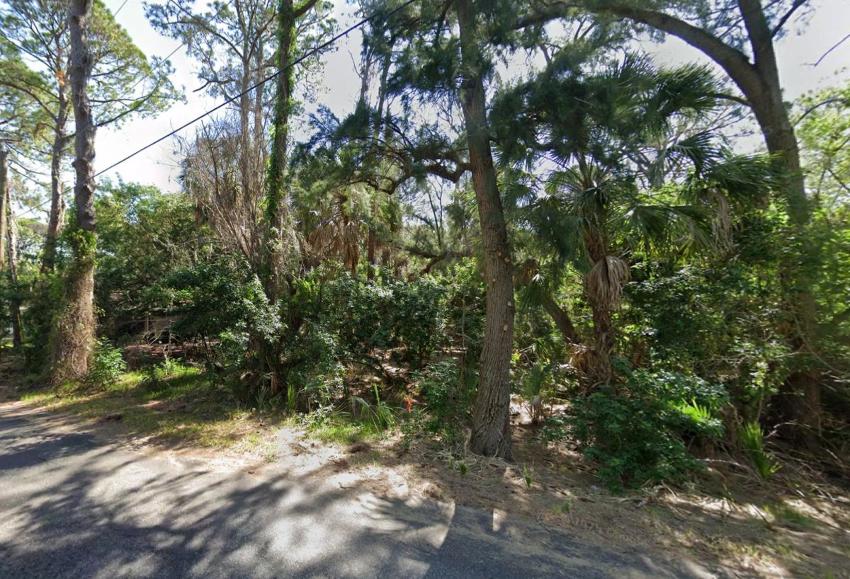 Decorative background for Multi Family Vacant Corner Lot for Sale in City of New Port Richey, FL image 15