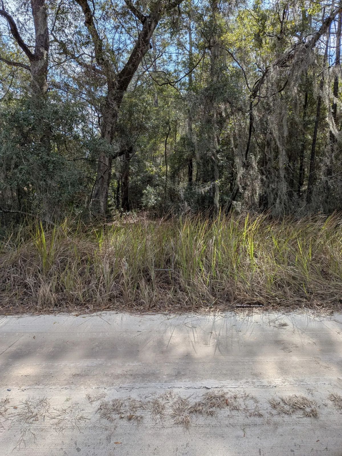 Vacant Residential Lot in Ocala, FL with Adjoining Corner Lot - Main image